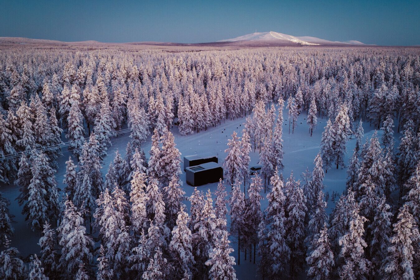 Una cabaña aislada rodeada por un bosque denso de árboles nevados.