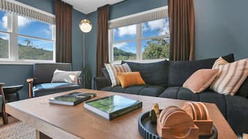 テレビ、テレビゲーム、DVD プレーヤー、書庫