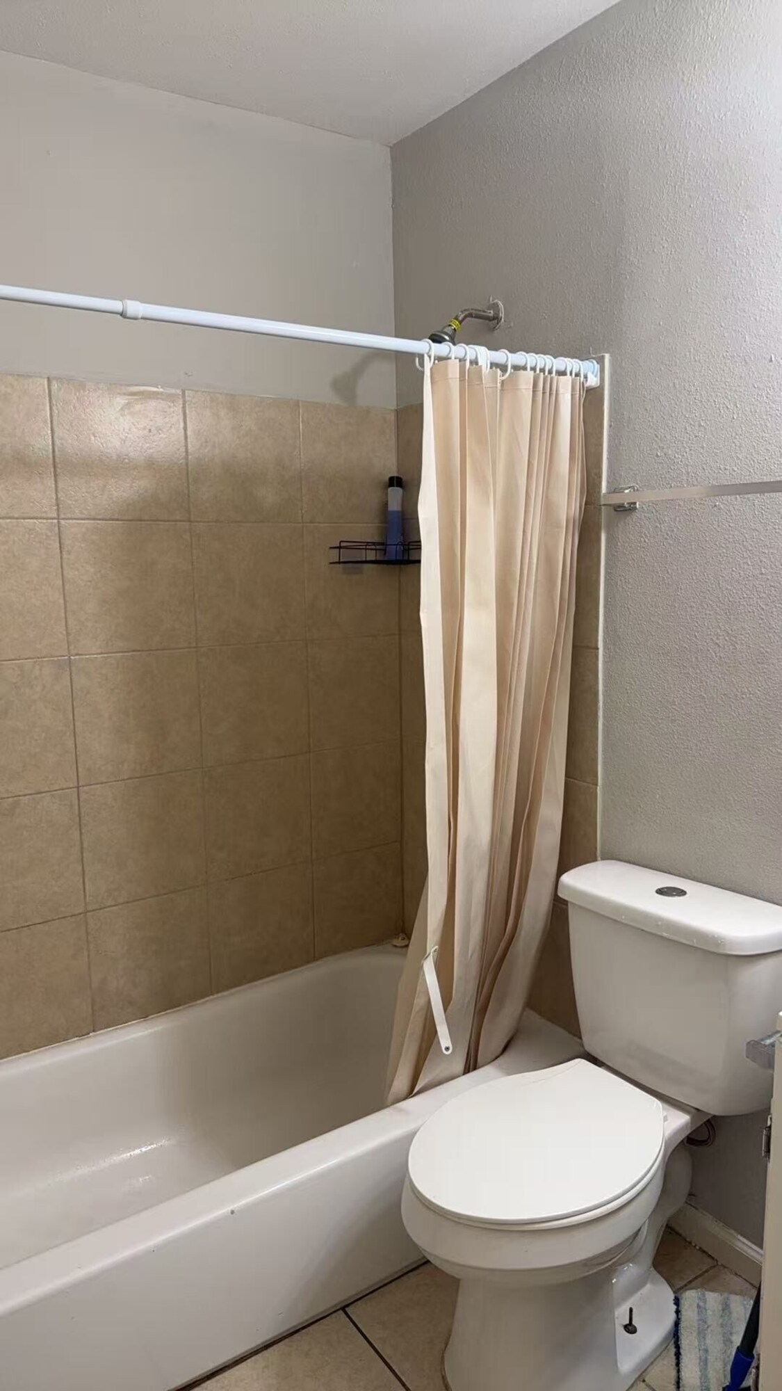 Imagen de perfil del propietario o de la propietaria