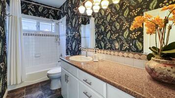 Hair dryer, bidet, towels, soap
