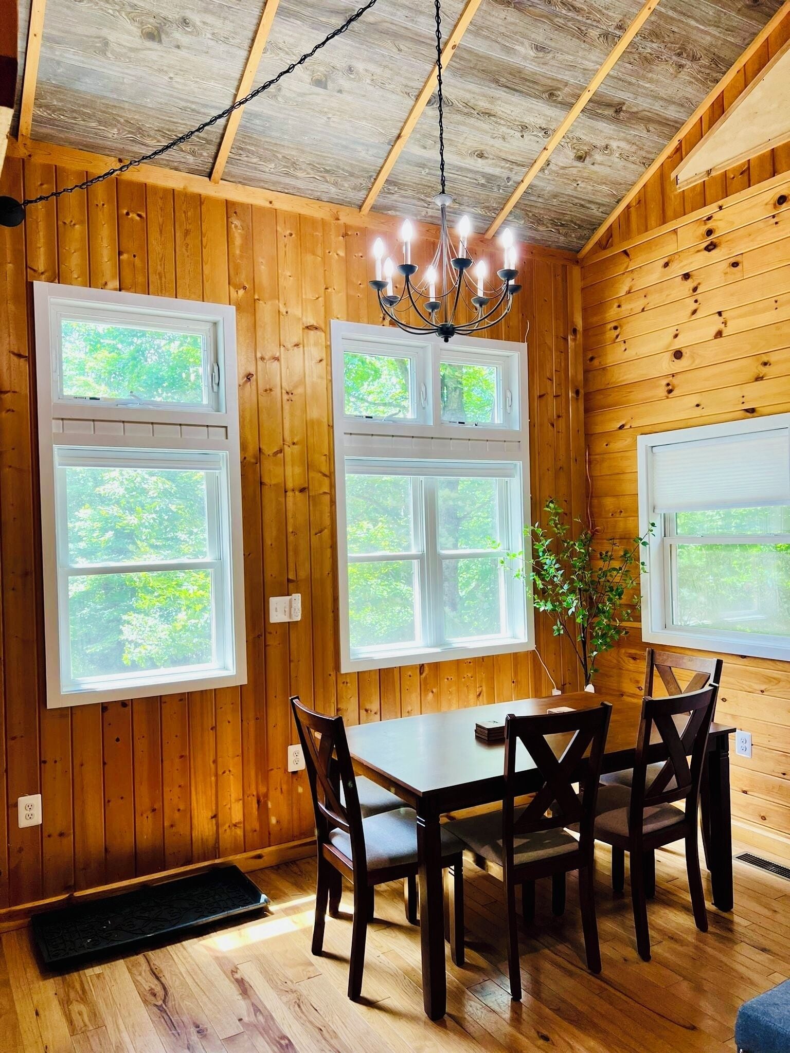 تناول الطعام