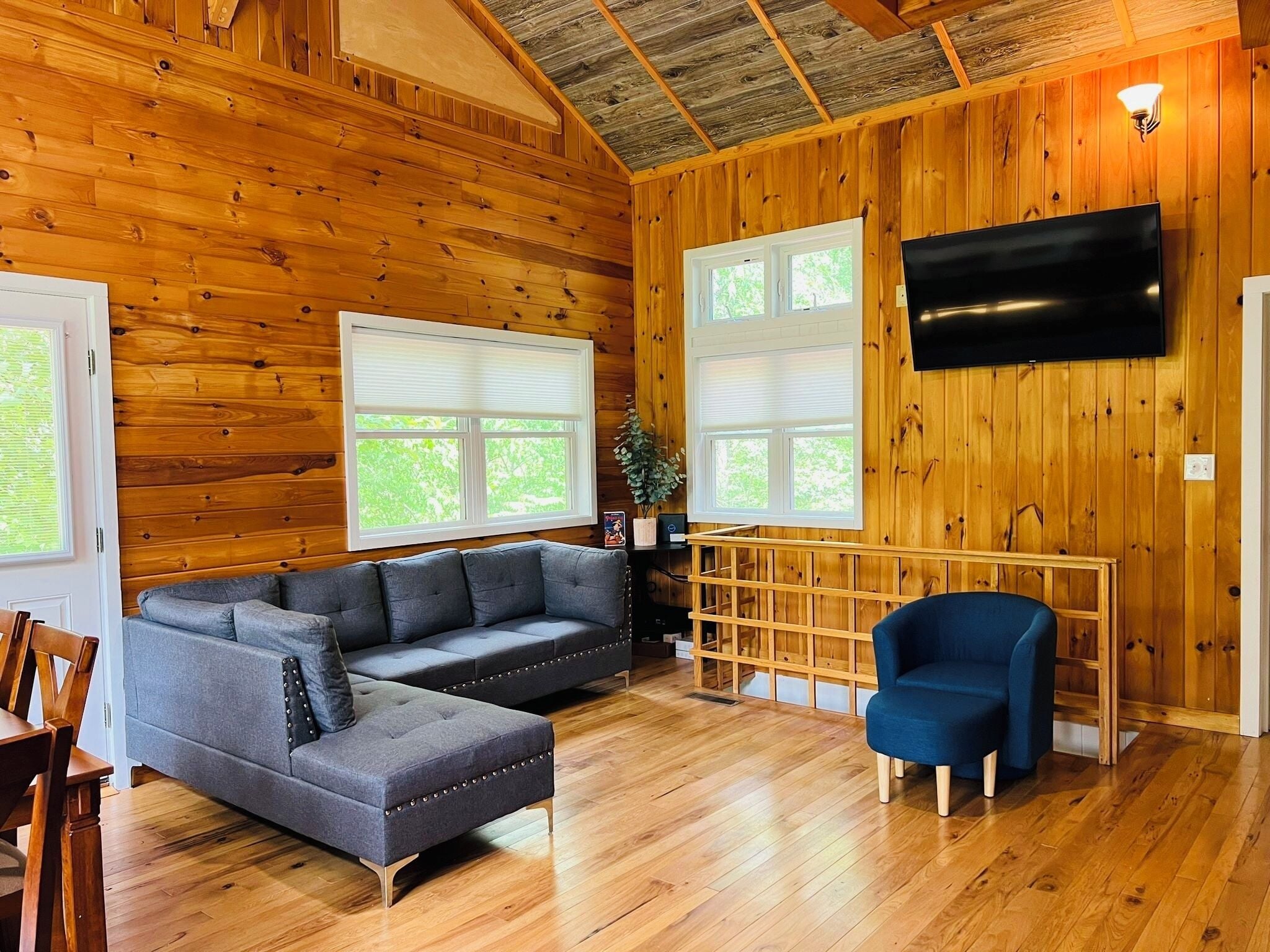 Televisor intel·ligent i llar de foc 