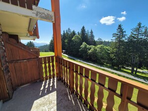 Property grounds - Charmant Duplex au Pied des Pistes – Balcon Plein Sud & Mezzanine (Les Déserts)