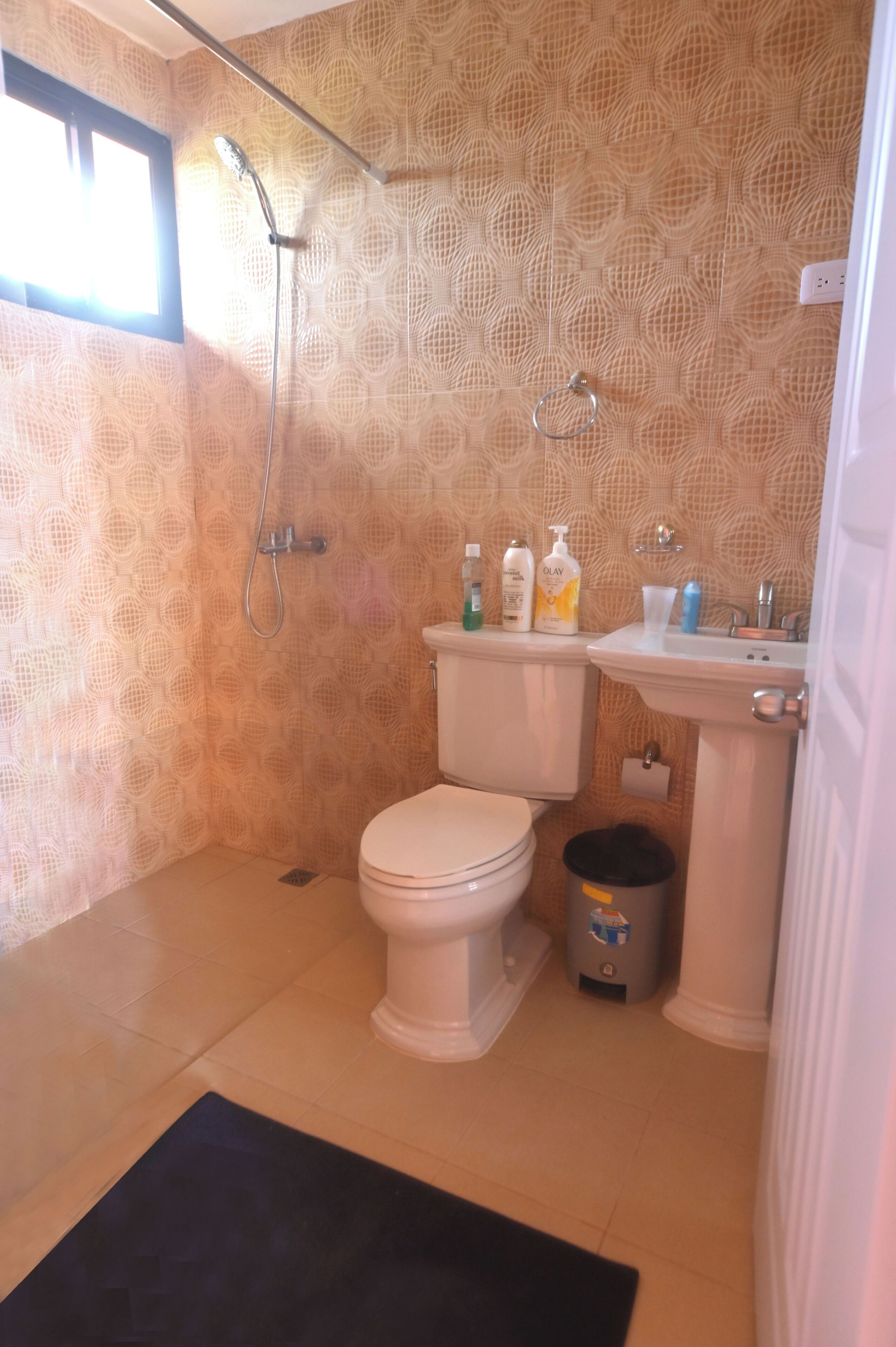 Shower, towels, toilet paper