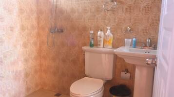 Shower, towels, toilet paper