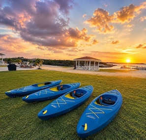 A grassy area with four blue kayaks lined up.