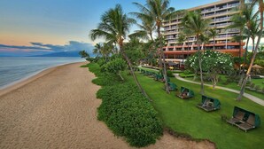 Un hotel frente a la playa con piscina, palmeras y vistas al océano.