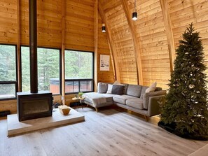 تلفزيون، مدفأة