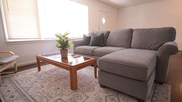 A living room with a grey sofa, a wooden coffee table with a plant, and patterned rugs.