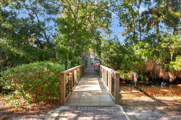 Property grounds - Spacious 3 Bedroom Condo Directly Across from the Beach and minutes to Coligny (Hilton Head Island)