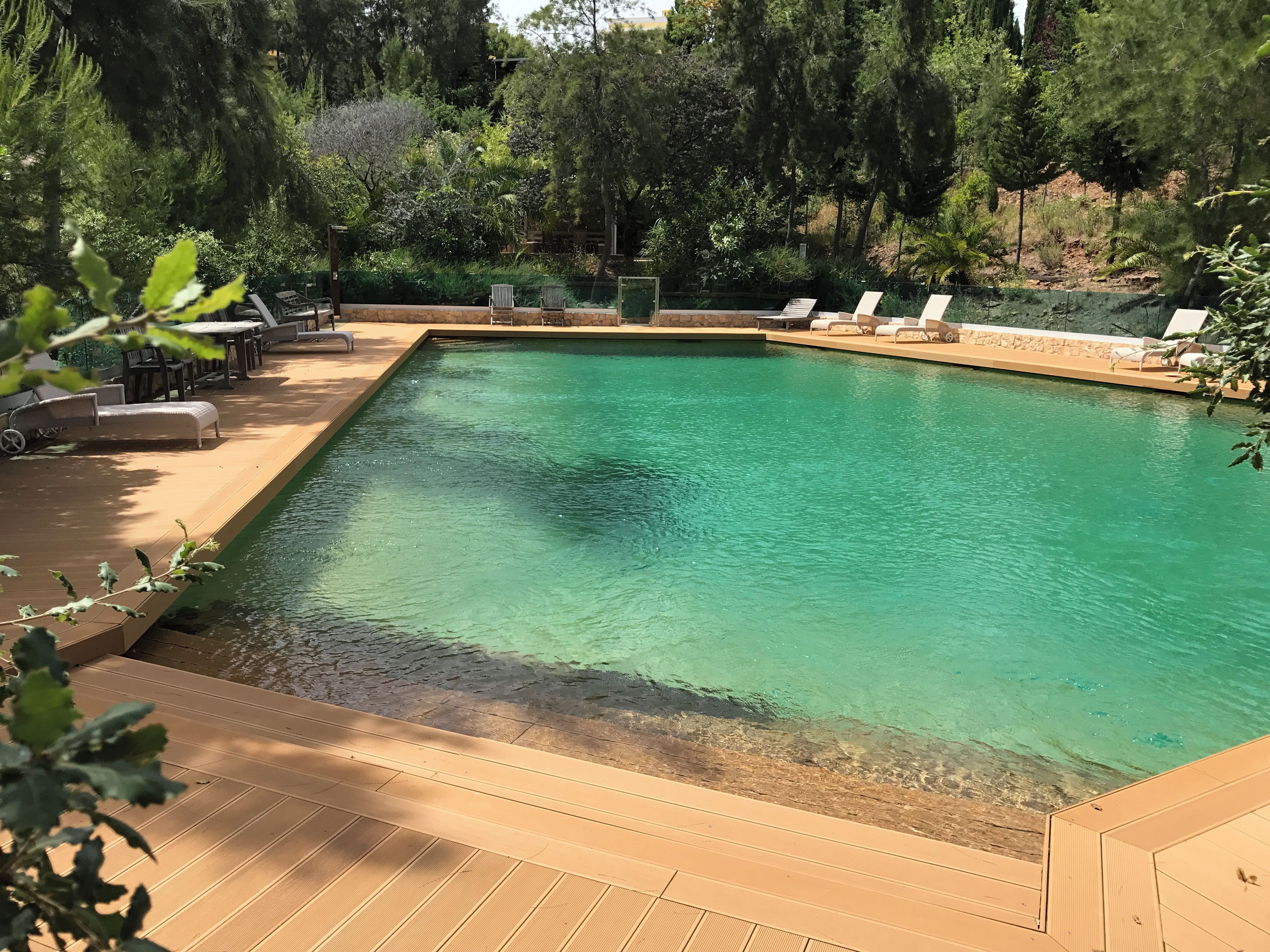 A rectangular pool with clear water, surrounded by a wooden deck and lounge chairs.