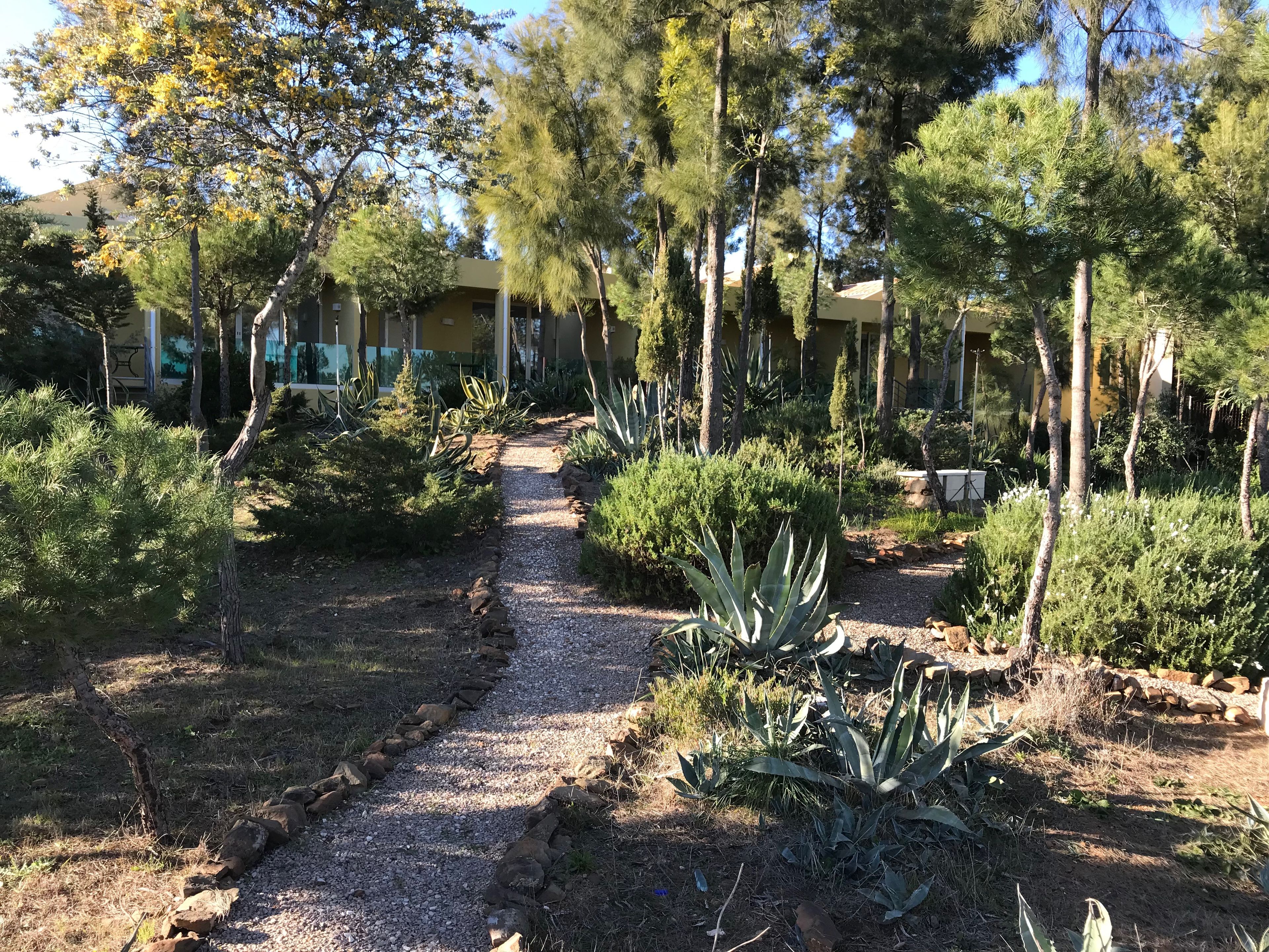 Un sendero en un jardín bordeado de plantas y árboles, que lleva a un edificio con fachada amarilla.