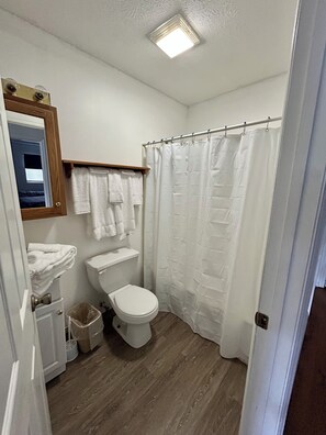 Serviettes fournies, savon, papier toilette