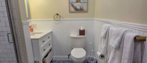 Shower, hair dryer, towels, soap