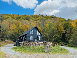Exterior - Modern Black-Clad Chalet 3BR/3Bath with Private Pond in Callicoon Center (Callicoon Center)