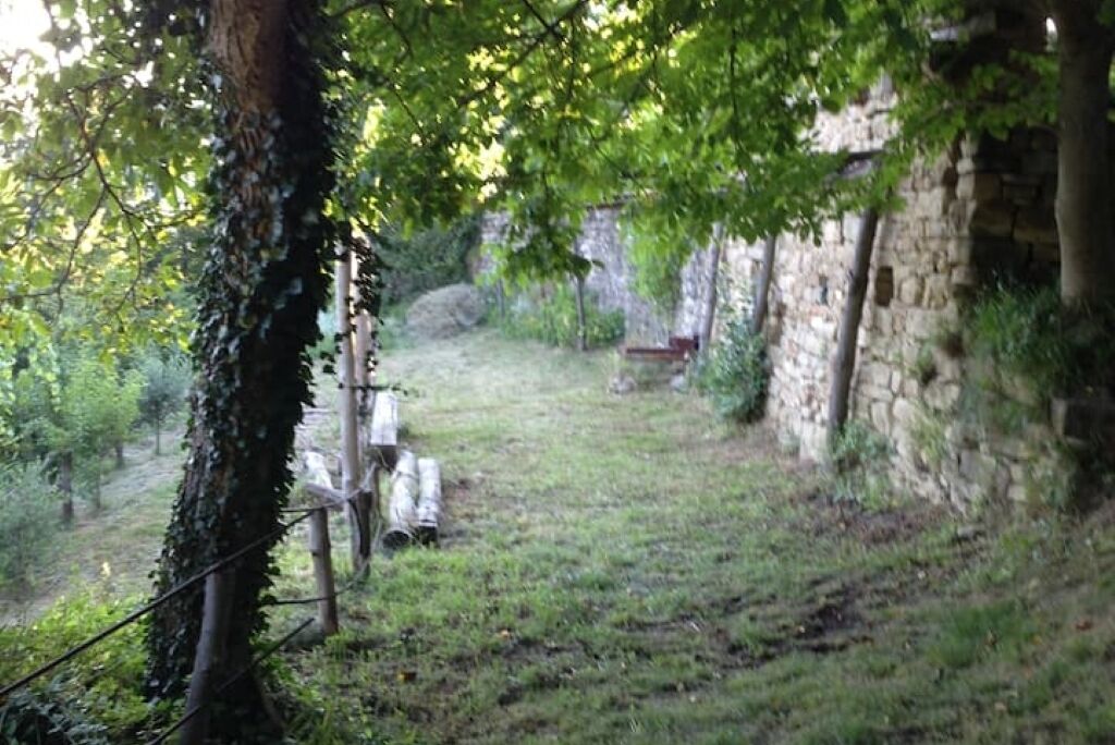 A rustic outdoor area with a stone wall, a grassy path, and a tree with ivy.