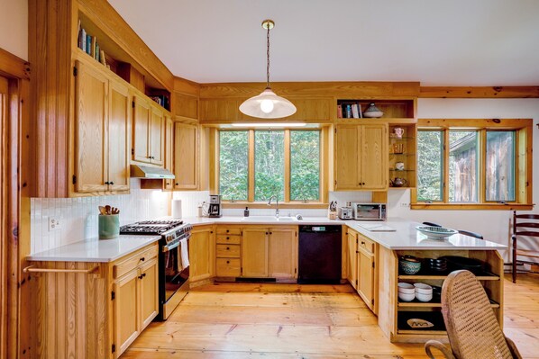 Een koelkast, een magnetron, een kookplaat, een vaatwasser