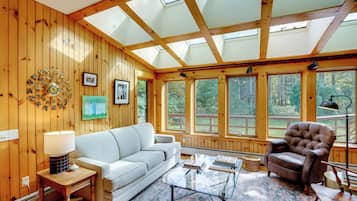 Télévision, cheminée, livres, vidéothÚque