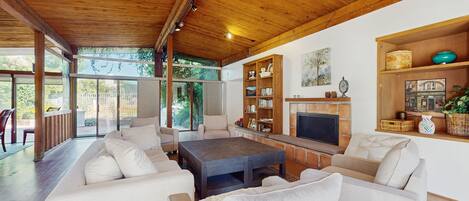 TV, fireplace, books