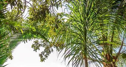 Puerto Aventuras Villa: Private Pool & Canal Access