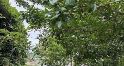 Hidden Garden Gem; Pet Friendly