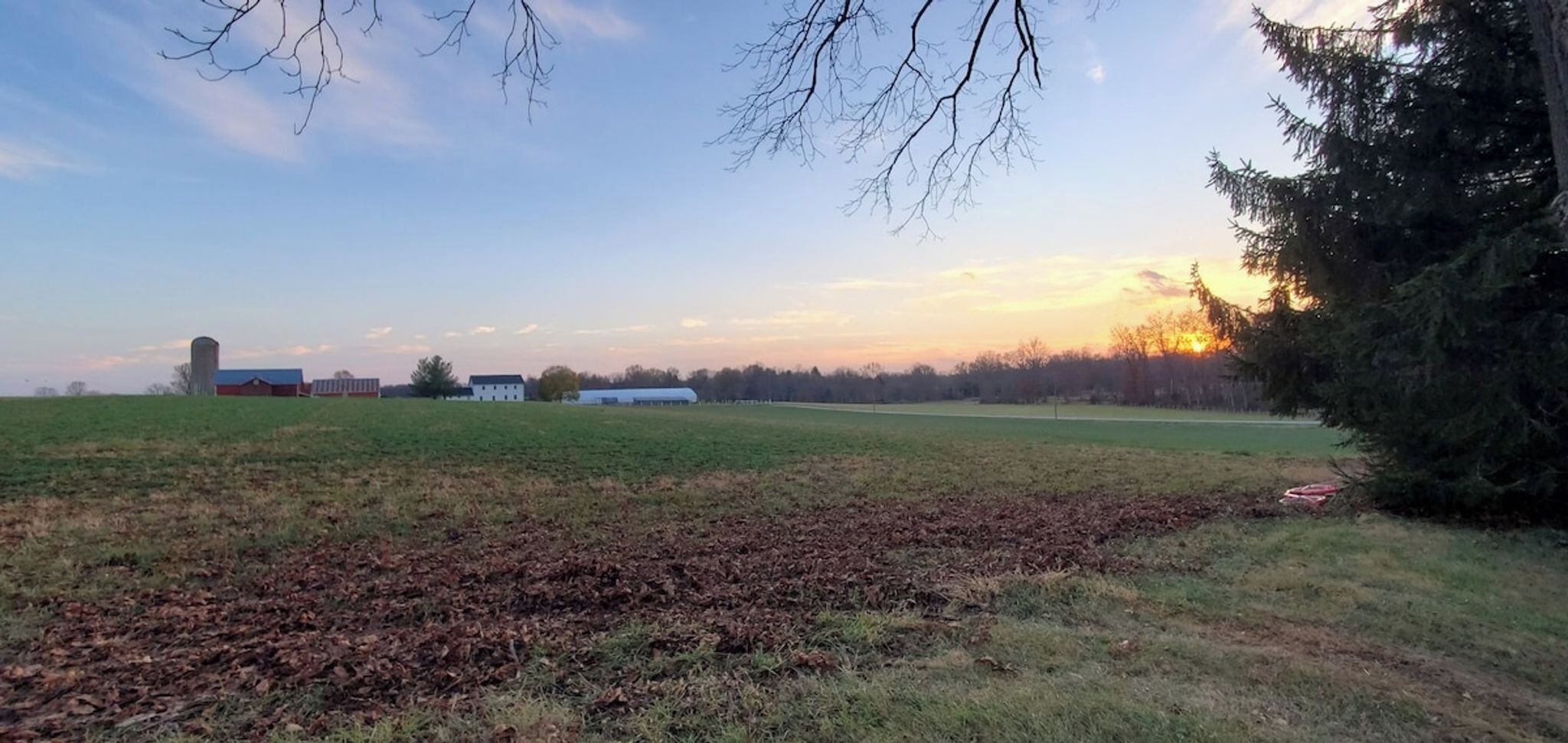 A rural landscape with open fields, a barn, and a large tree.