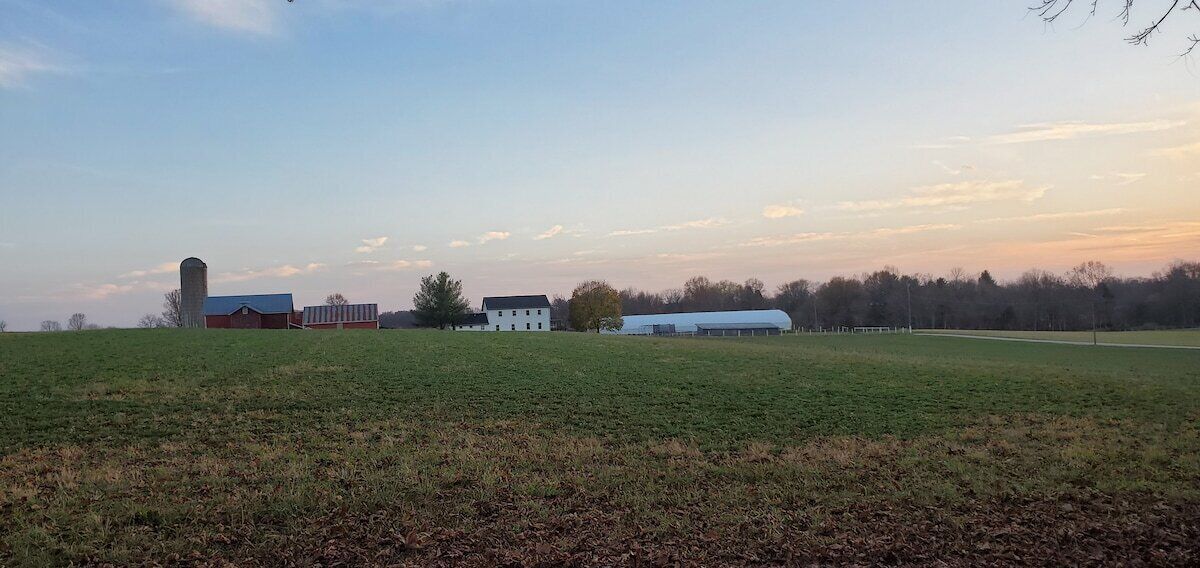 Paisaje rural con graneros y un silo.