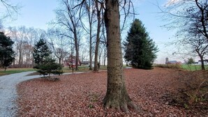 A gravel path in a park with trees and a distant building.
