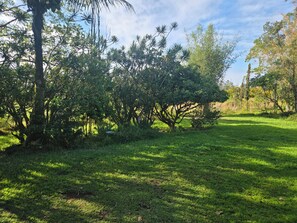 Terrain de l’hébergement 