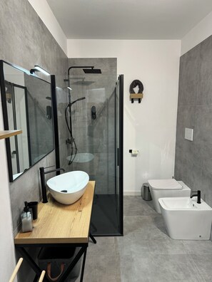Shower, hair dryer, bidet, towels