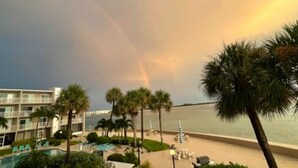 A resort with a pool, palm trees, and a view of the ocean. - Incredible Gulf-front 2 bed 2 bath condo with unbeatable views in Pass-A-Grille. (St. Pete Beach)