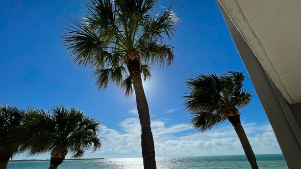 A beach view with palm trees and a clear sky. - Incredible Gulf-front 2 bed 2 bath condo with unbeatable views in Pass-A-Grille. (St. Pete Beach)