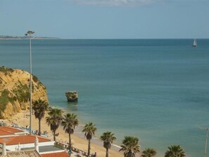 A coastal view with a rocky cliff, palm trees, and a clear blue sea. - Agua Marinha - Adults Only (Albufeira)