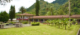 Dreamer Cocora
