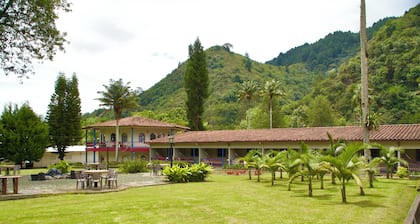 Dreamer Cocora