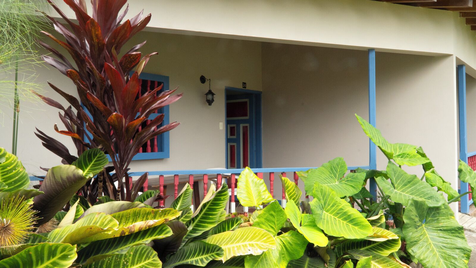 A building with a porch, large green plants, and a blue door.