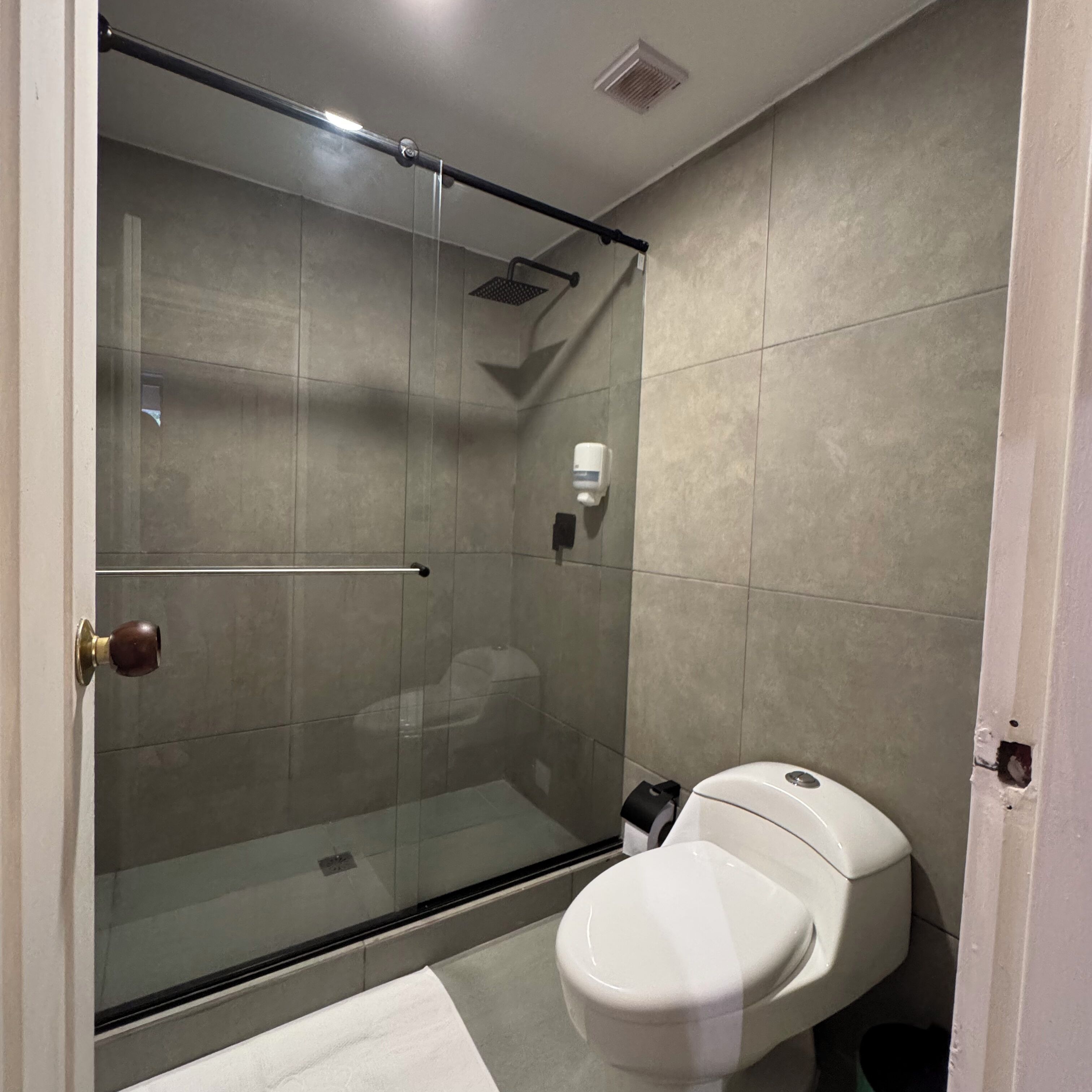 Une salle de bain avec une douche à parois de verre, des toilettes et un porte-serviettes.