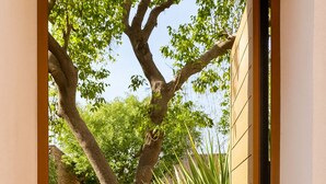 A narrow hallway with a tiled floor, a large potted plant, and a tree. - Casa Marina (Querétaro)