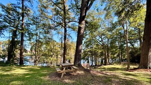 Ein Picknicktisch, umgeben von hohen Bäumen und einem Gewässer.