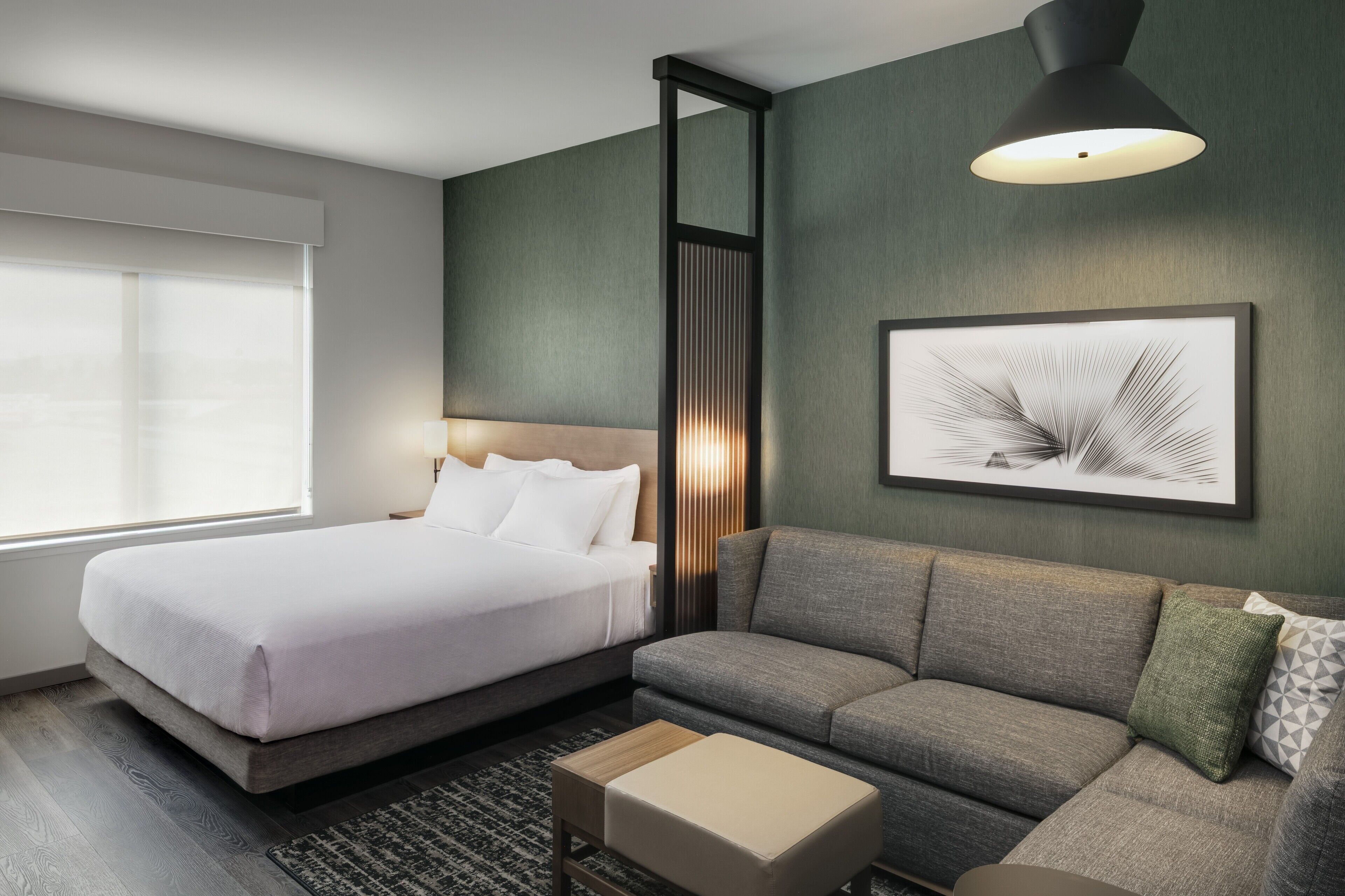 Room, 1 King Bed with Sofa bed