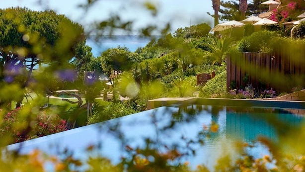 A pool surrounded by lush greenery and a wooden fence.