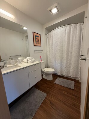 Haartrockner, Handtücher, Seife, Toilettenpapier
