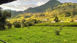 Un campo verde exuberante con una montaña al fondo.