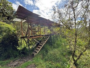 露台/庭院