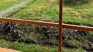 Vista desde una terraza de madera sobre un valle exuberante y una cadena montañosa al fondo.