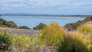 Paisaje costero con vista al mar, una carretera y vegetación.