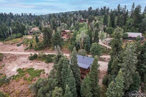 Exterior - Meandering Moose Above Park City (Summit County)