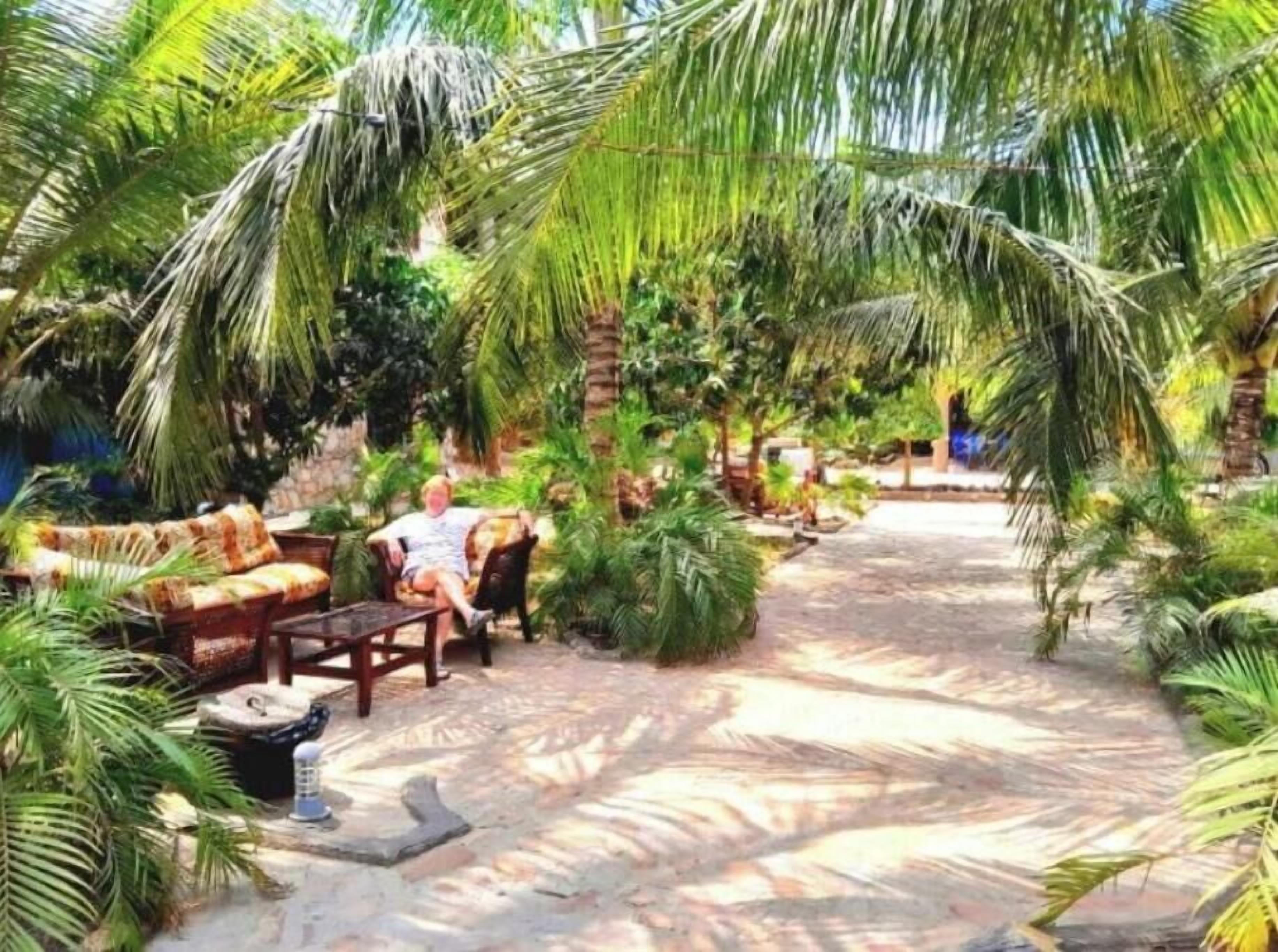 テラス / パティオ