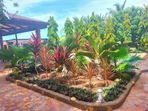 المنطقة المحيطة بالمنشأة