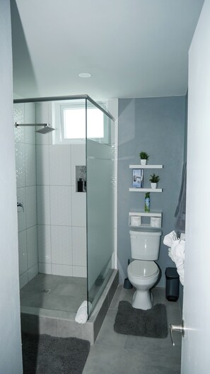 Regadera, secadora de cabello, toallas, jabón 